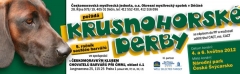 Banner derby